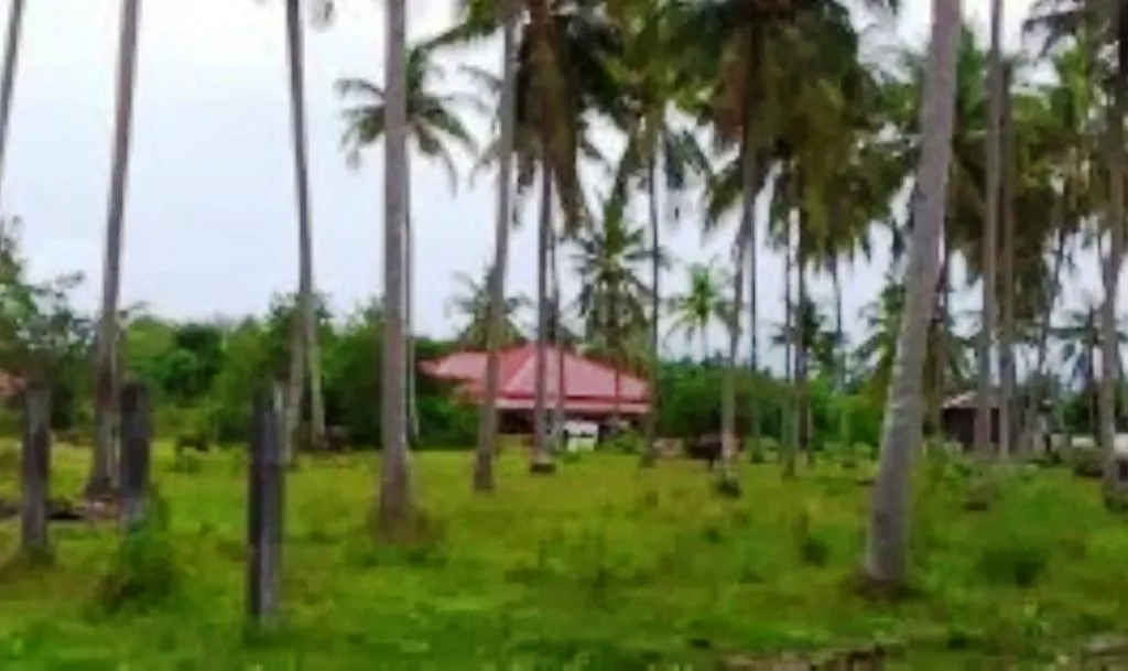 The Village Langkawi Pantai Cenang  Malaysia
